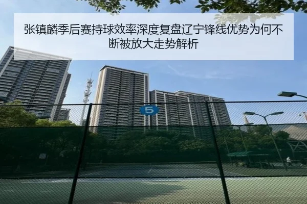 张镇麟季后赛持球效率深度复盘辽宁锋线优势为何不断被放大走势解析